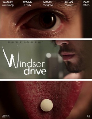 Windsor Drive (2015) - poster