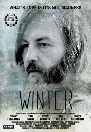 Winter (2015) - poster