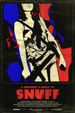 A Beginner's Guide to Snuff (2016) - poster