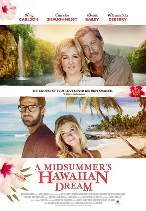 A Midsummer's Hawaiian Dream (2016) - poster