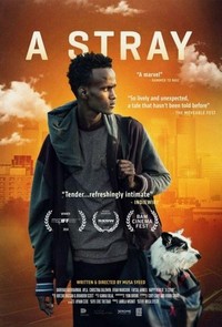 A Stray (2016) - poster