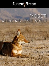 Africa's Lost Wolves (2016) - poster