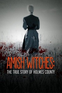 Amish Witches: The True Story of Holmes County (2016) - poster