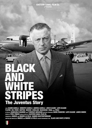 Black and White Stripes: The Juventus Story (2016) - poster