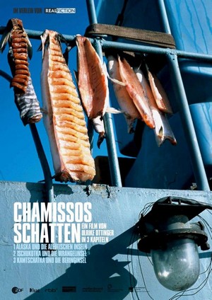 Chamissos Schatten (2016) - poster