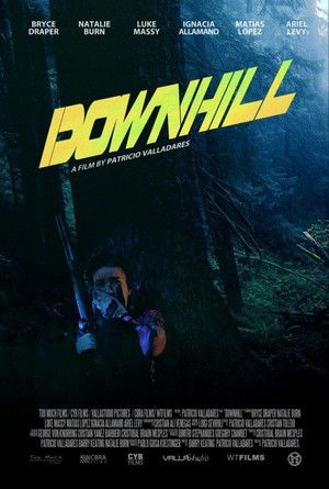 Downhill (2016) - poster