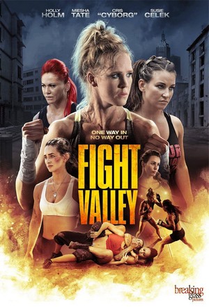 Fight Valley (2016) - poster