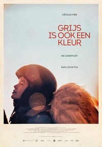 Grijs Is Ook een Kleur (2016) - poster