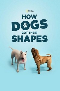 How Dogs Got Their Shapes (2016) - poster