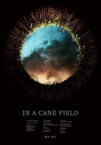 In a Cane Field (2016) - poster