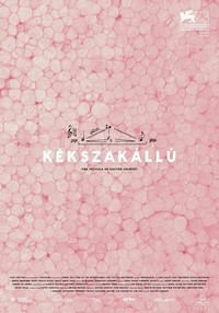 Kékszakállú (2016) - poster