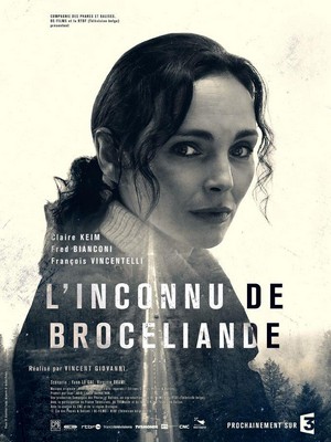 L'Inconnu de Brocéliande (2016) - poster