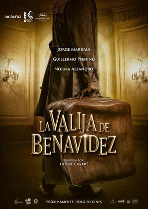 La Valija de Benavidez (2016) - poster