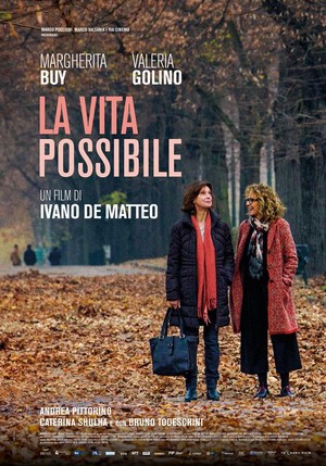 La Vita Possibile (2016) - poster