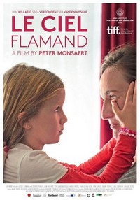 Le Ciel Flamand (2016) - poster