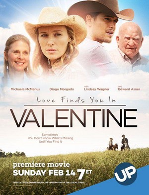 Love Finds You in Valentine (2016) - poster