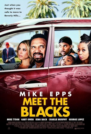 Meet the Blacks (2016) - poster