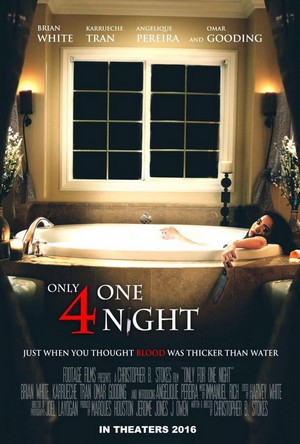 Only for One Night (2016) - poster