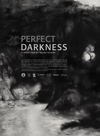Perfect Darkness (2016) - poster