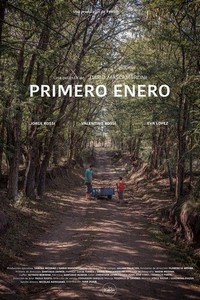 Primero Enero (2016) - poster