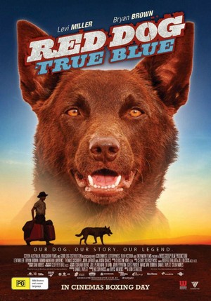 Red Dog: True Blue (2016) - poster