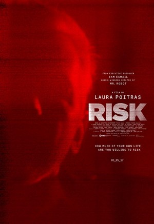 Risk (2016) - poster