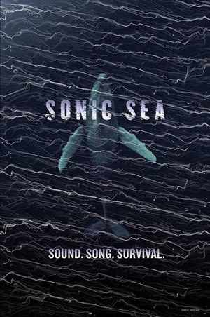Sonic Sea (2016) - poster