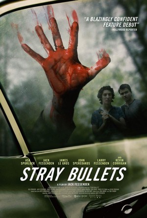 Stray Bullets (2016) - poster