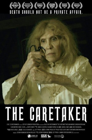 The Caretaker (2016) - poster