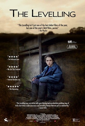 The Levelling (2016) - poster
