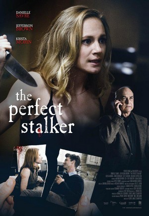 The Perfect Stalker (2016) - poster