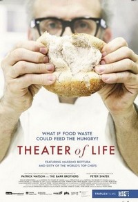 Theater of Life (2016) - poster