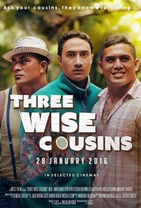 Three Wise Cousins (2016) - poster