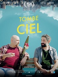 Tombé du Ciel (2016) - poster