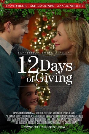 12 Days of Giving (2017) - poster