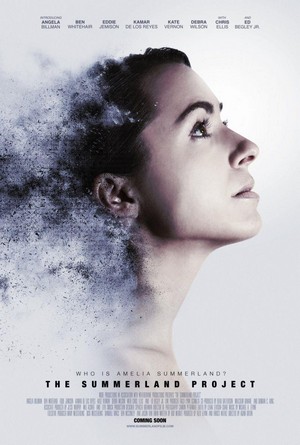 Amelia 2.0 (2017) - poster