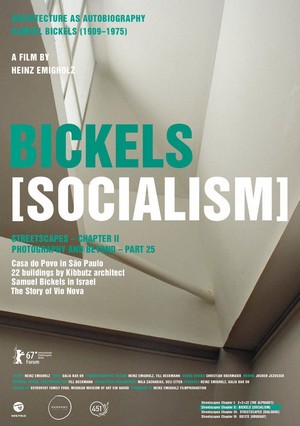 Bickels: Socialism (2017) - poster