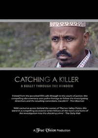 Catching a Killer: A Bullet through the Window (2017) - poster