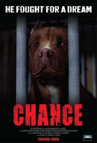 Chance (2017) - poster