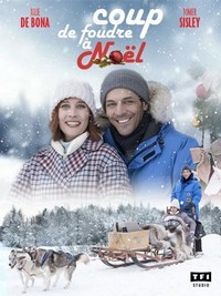 Coup de Foudre à Noël (2017) - poster