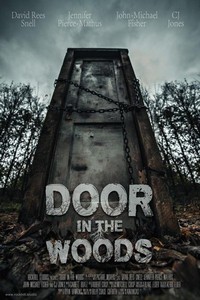 Door in the Woods (2017) - poster