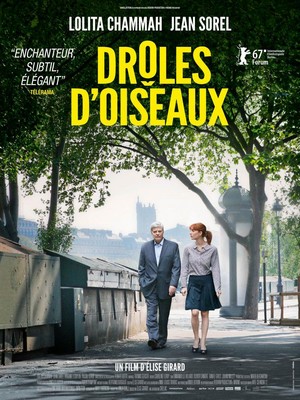Drôles d'Oiseaux (2017) - poster