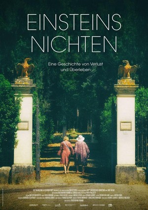 Einsteins Nichten (2017) - poster
