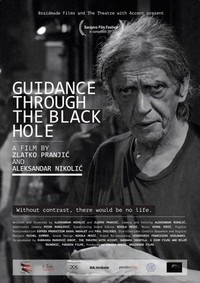 Guidance through the Black Hole (2017) - poster