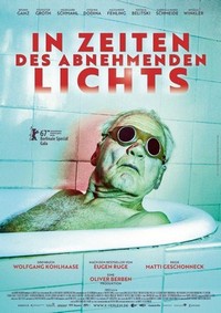 In Zeiten des Abnehmenden Lichts (2017) - poster