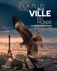 La Plus Belle Ville du Monde (2017) - poster