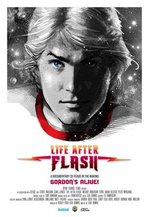 Life after Flash (2017) - poster