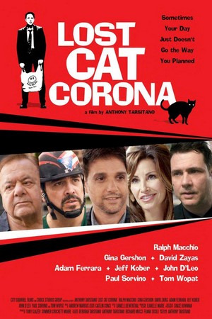 Lost Cat Corona (2017) - poster