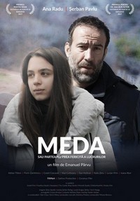 Meda sau Partea Nu Prea Fericita a Lucrurilor (2017) - poster