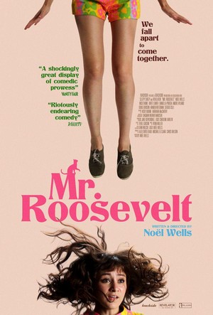 Mr. Roosevelt (2017) - poster